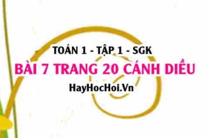 Bài 7 trang 20 Toán 12 tập 1 Cánh Diều